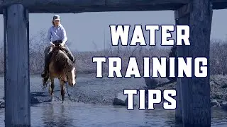 Nora&rsquo;s First Water Adventure: Training a Brave Horse
