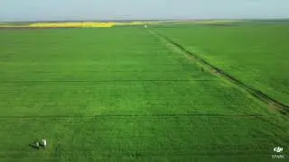SC Nico Adi SRL - Jallon 2018