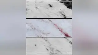 AXE PRIME - MOTHER WOLF [PROD X PAPERPIECE]