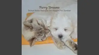 Gentle Pet Whispers Nightfall