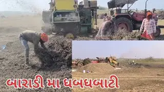 બારાડી મા જયંત થ્રેશર મા ધબધબાટી 🤣 તા. 25/11/2025 #trinding #viralvideo #farming #farmer #new #farm 