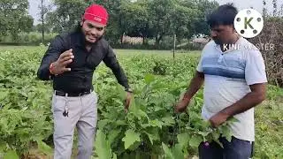 AWPL KE AGRO 90 & PGPR KA BEHTREEN RESULTS