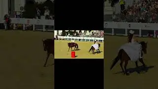 Любовь по-ковбойски.Falling in Love in a cowboy way .