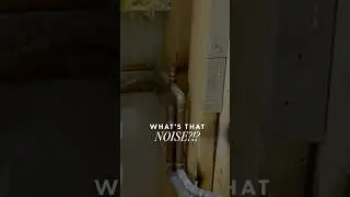 What&rsquo;s that NOISE?!