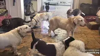 OFSDS Awww Penny...Slow Down Lolli! Mr.Mr.💕 Smo Checing Bella...So Sweet.