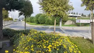 Istanbul weather Turkey  winter season #rainy weather 2023