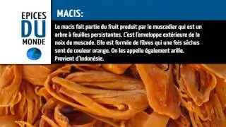 epice-macis- Vidngo