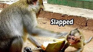 Oh My God Anna Why Slap Alba To Hurt | Alba Run Scare Her Mum Anna
