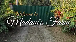 FARM TOUR | MADAM's FARM (The Real Tour!) | Dy Family