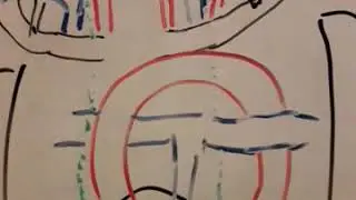 nervio frenico