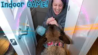 HIDING FROM MY GERMAN SHEPHERD! - Indoor Mental Stimulation