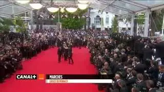Red Carpet of the Jury Members