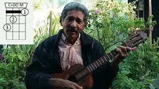 Cómo  tocar Calipso con la canción  Guayana  es
