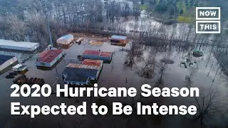 Hurricane Season Predictions for 2020 | NowThis