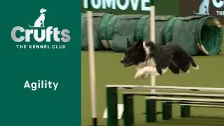 Agility - Crufts Novice Cup Final (Jumping)  - Part One | ​Crufts 2023