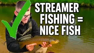 PB Chub & Nice Brown Trout From Beautiful Rural River In The Heart Of North Yorkshire