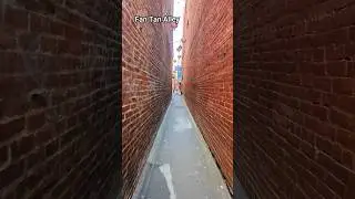 Walking Victoria Alleys (August 2025) #VictoriaBC #alleyways #alley #shorts