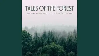 Calming Ambiance