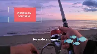 Jornada en solitario tocando escamas 🐟🐟