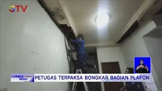 Musim Hujan dan Bertelur, Waspada Ular Masuk Rumah #BIS 22/11