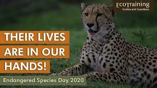 Endangered Species Day 2020