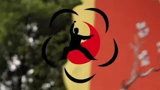 Qu'est-ce que le Mei Hua Zhuang (MHZ) ?