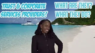 WHAT IS A TRUST & CORPORATE SERVICES PROVIDER?  What is a TCSP?  What do TCSPs do?