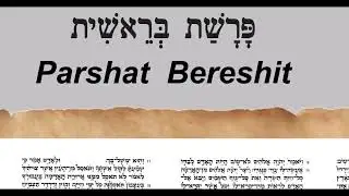 Precious Parsha NFT - Example of Zoom-In and high resolution Torah Parasha NFT