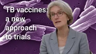 Testing new ways to fight TB: Challenge trials