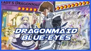 Dragonmaid + Blue-Eyes CHAOS: Bait Negates, Recur, and Finish with 1-Turn Lethal!
