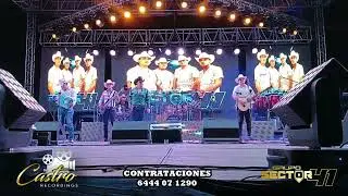 Grupo Sector 41  En Vivo 2024