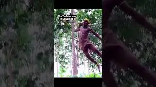 Epic traditional action movie #jazyfilms #hollywood #cinematic #actionmoviescene