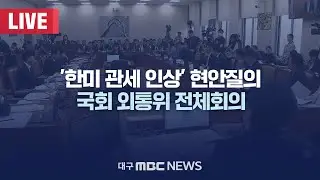 '한미 관세 인상' 현안질의국회 외통위 전체회의 [LIVE] | 대구MBC 2026년 1월 28일