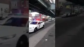 always sunny under the L
