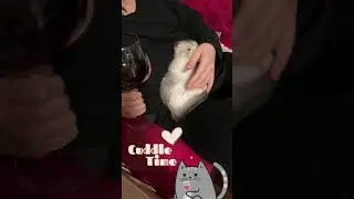 Throwback Thursday with Panda Pants and Diane 🐱🐱🍷🤭💕