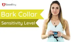 How To Set The Correct Sensitivity Level For GoodBoy Bark Collars