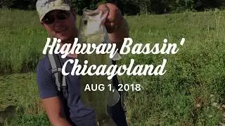 Highway Bassin' Chicagoland #DIRTYJIGS #KeitechSwimbait #LyubakaVideo