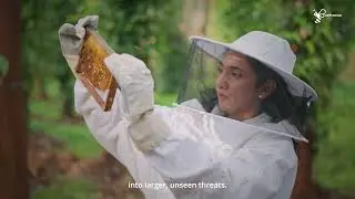 AI and Smart Beekeeping: Monitor Your Hives Anywhere with BeePrecise
