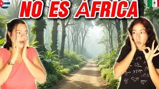 ESTE SAFARI ESTÁ EN MÉXICO 😱🇲🇽 | NO ES ÁFRICA