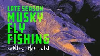 Ловля мускусного окуня в конце сезона: борьба с холодом &mdash; Musky Fool Fly Fishing Co.