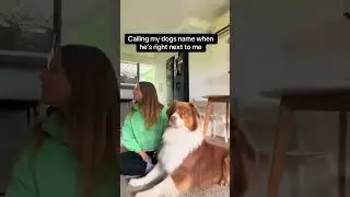 #cat #funny #happycats #catmemes #music #memes #trending #trendingshorts #tiktok #new #reels #ad