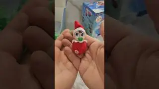 I found the baby elf on the shelf!