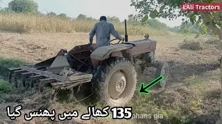 Massey Ferguson 135 phans gia | MF 135 | MF 35