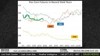 Few Signs of a Corn Bounce