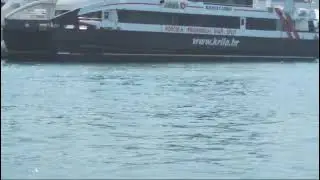 Dupini u Splitu