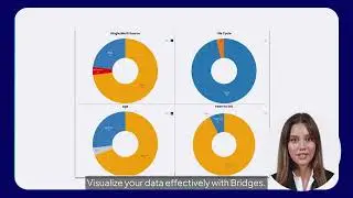 Bridges and Silicon Expert Integration Presentation