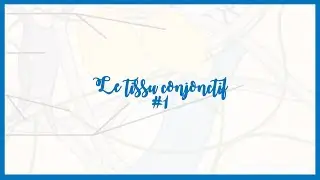Les Tissus: Tissu conjonctif #1 -Histologie
