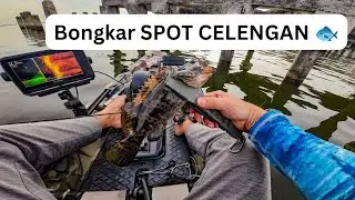 STRIKE KERAPU KASAR! Uji Power Joran Relix Gasak XUL di Spot Putri Duyung Ancol