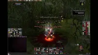 DDO - r10 Grim and Barett Boss DPS test