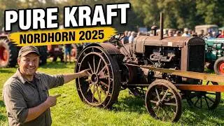 Oldtimer Traktoren Highlights: Historischer Feldtag Nordhorn 2025 | Trecker & Landmaschinen